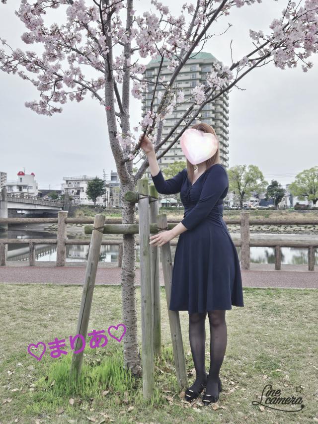 ⭐体験まりあ⭐美人癒し姫⭐プロフィール写真