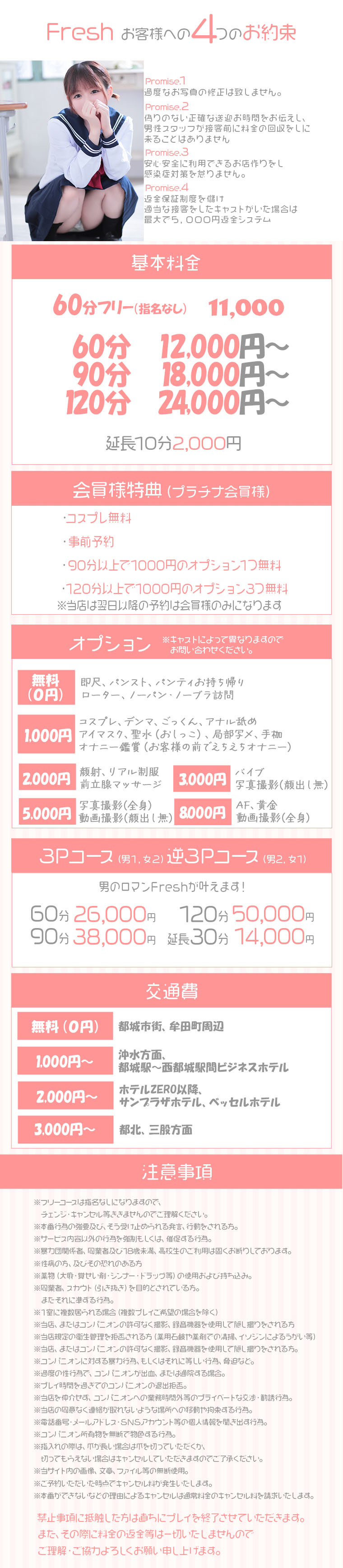 システム料金表