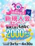 熊本県ヘルス　イエスグループ熊本 TSUBAKI(ツバキ)