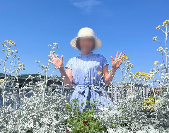 鹿児島県デリヘル　Mrs. LUSH