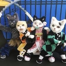 ウイルス対策強化中＋抗原検査実施中！★、ここさん、あいさん、★華ラインナップ！！ご予約は必須です（＾ｖ＾）　お電話お待ちしております☆☆ご覧頂き難うございます。本日も宜しくお願い致します