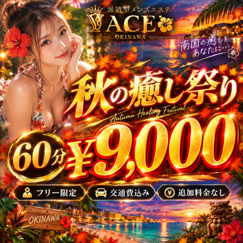 ✨️秋の癒し祭り✨️ ６０分¥９０００限定クーポン❤