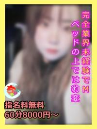 宮崎ちゃんこ中央通店(宮崎市) つばさ