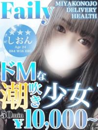 フェアリー(都城市) しおん