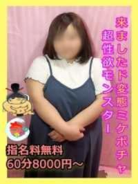 宮崎ちゃんこ中央通店(宮崎市) あいか