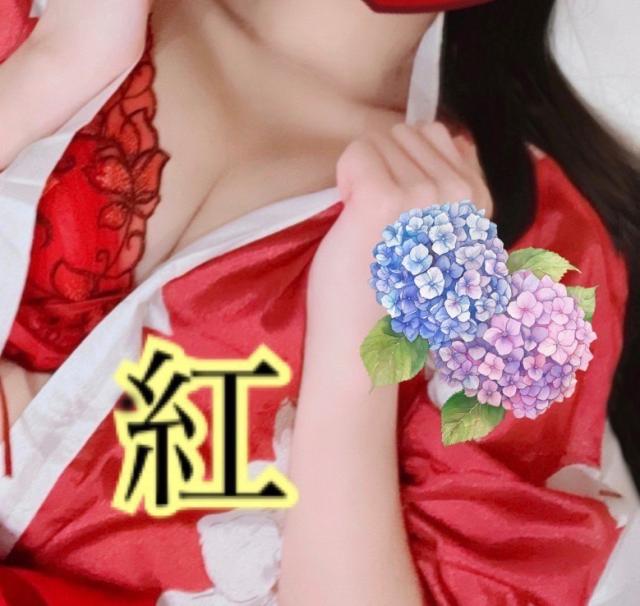 一色紅（体験入店）プロフィール写真