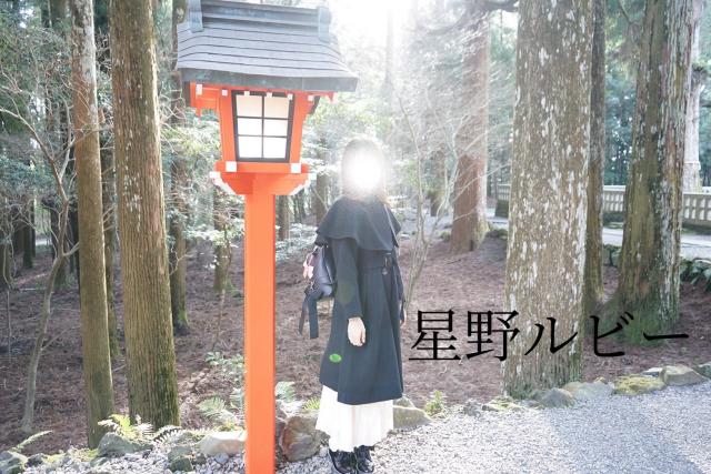 星野 ルビー(体験入店)プロフィール写真