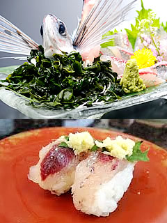 飛び魚ちゃんプロフィール写真