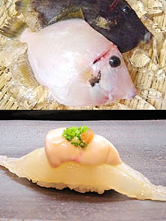かわはぎ（旬）ちゃんプロフィール写真