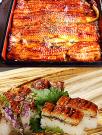 まん寿司くい姉-まんすじくいねぇ-(霧島市) デリヘル うなぎ蒲焼きちゃん 1