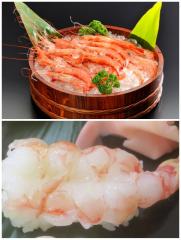 まん寿司くい姉-まんすじくいねぇ-(霧島市) たかエビ ちゃん new