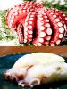 地だこちゃん