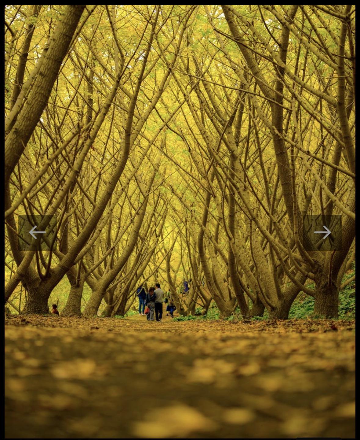 ミセス☆ルビー　受付