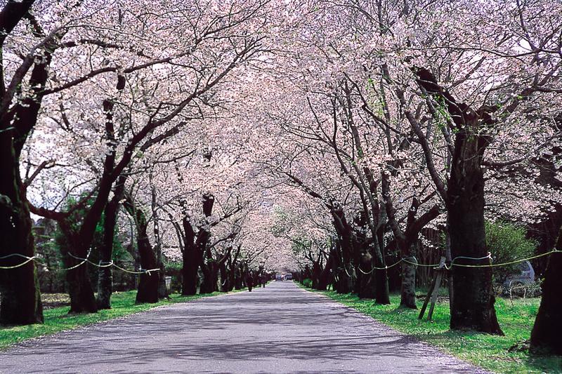 ミセス☆ルビー　受付