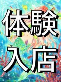 マーメイド