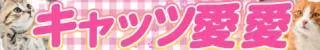キャッツ愛愛(鹿児島市)店舗バナー