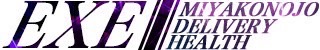 都城市デリヘル EXE【都城本店】