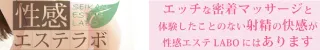 宮崎市 性感エステLabo