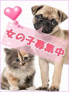 ☆求人情報☆プロフィール写真