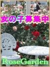 ☆求人情報☆