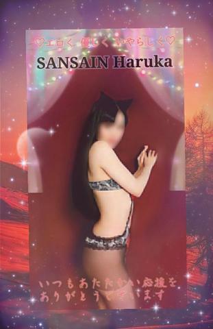 MIYAZAKI SANSAIN　はるか