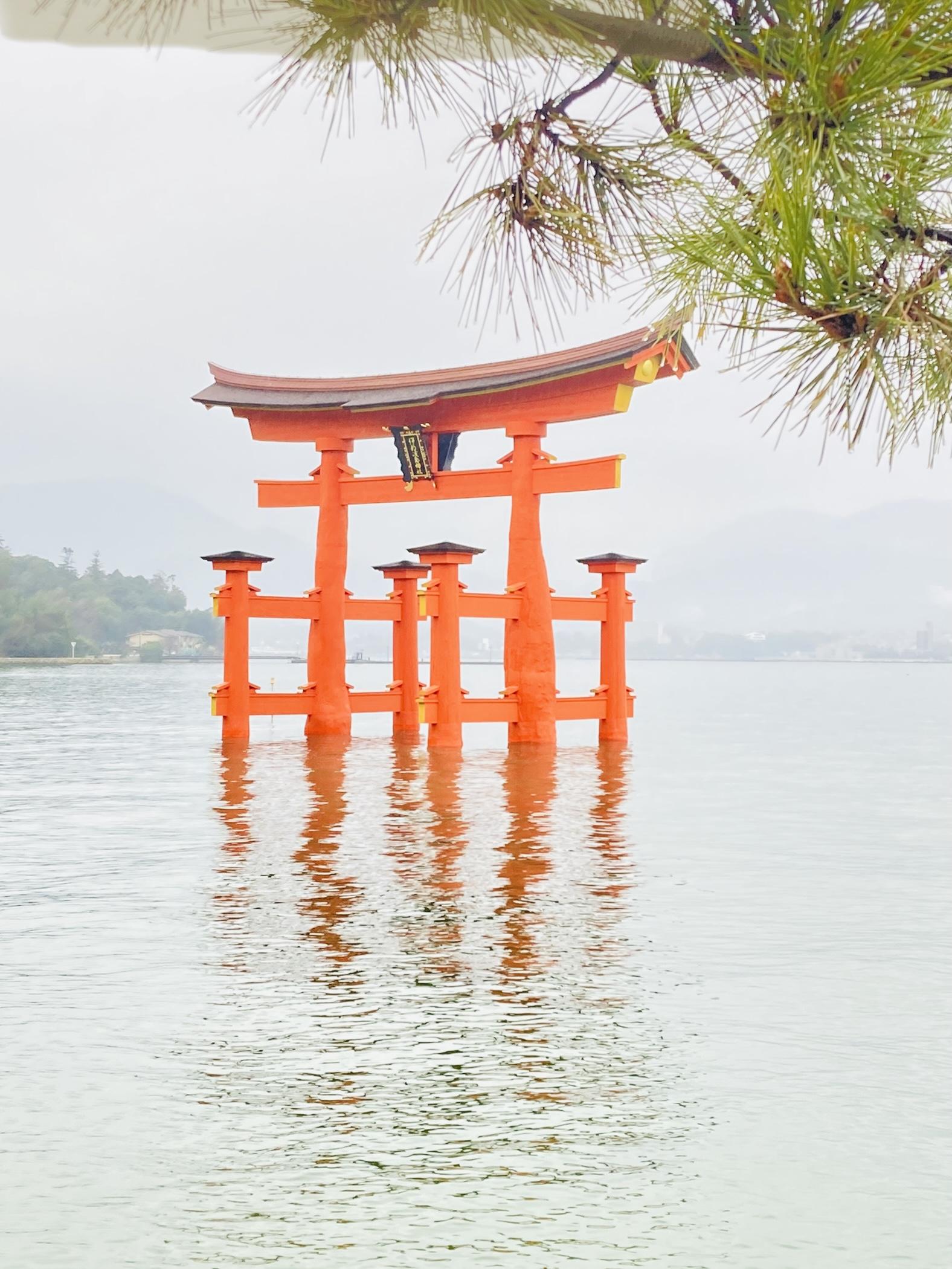 Ｙ’ｓ‐ワイズ　店長